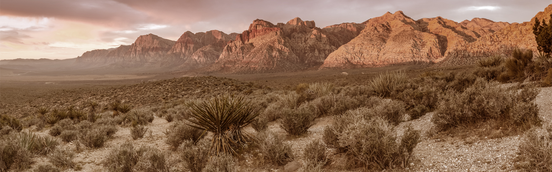 Red Rock Sepia
